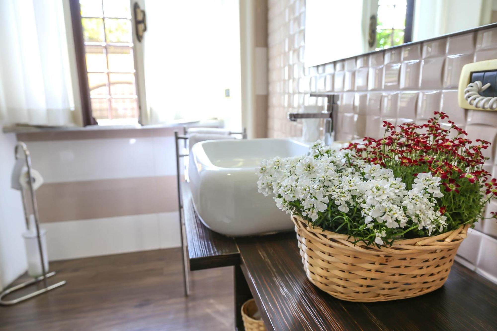 Guest house Matissa Rome